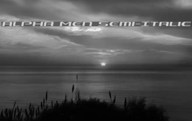 Alpha Men Semi-Italic Font examples