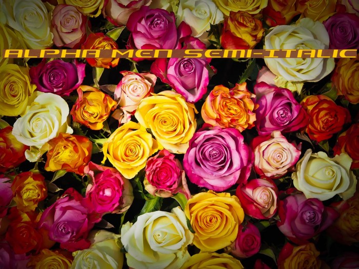 Alpha Men Semi-Italic Example 2