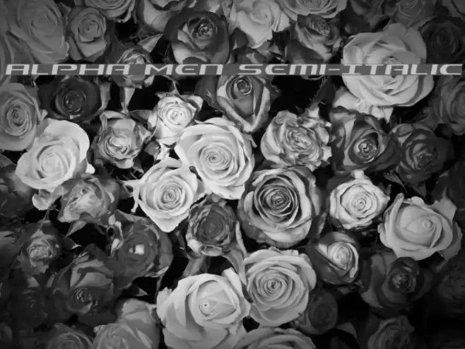 Alpha Men Semi-Italic Font examples