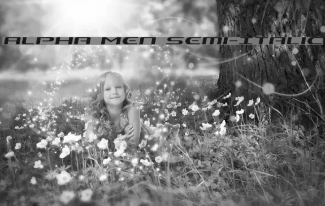 Alpha Men Semi-Italic Font examples