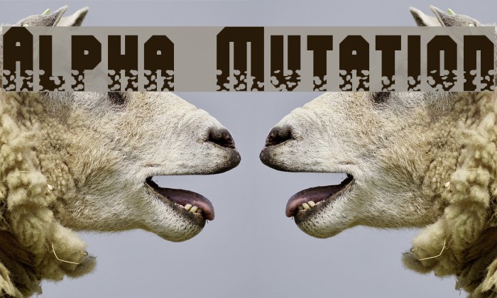 Alpha Mutation Font examples