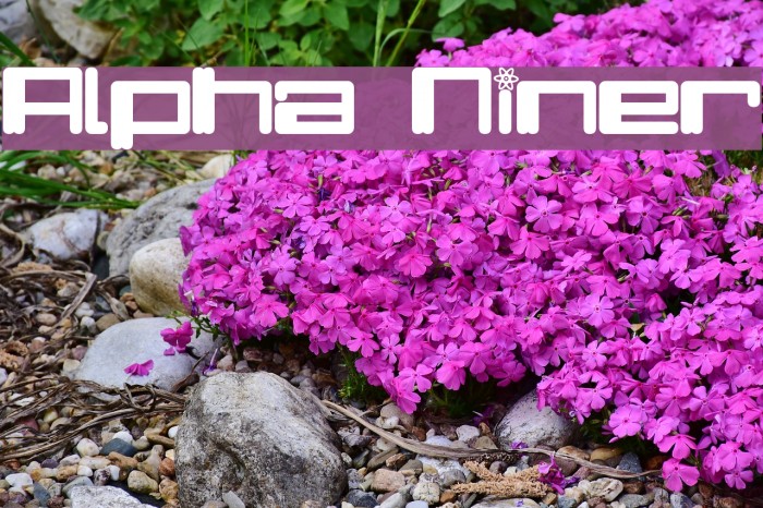 Alpha Niner لخطوط تنزيل examples