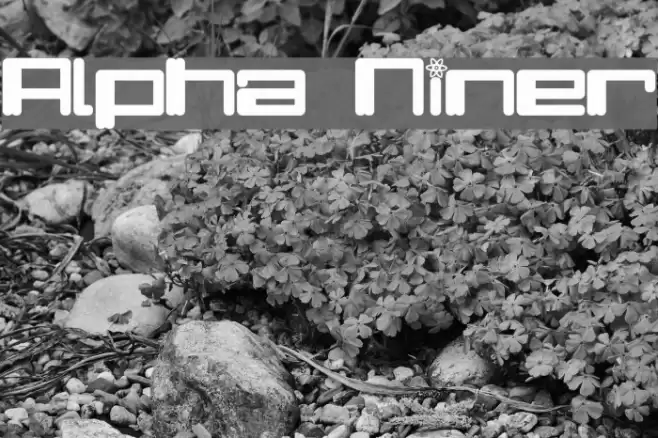 Alpha Niner Font examples