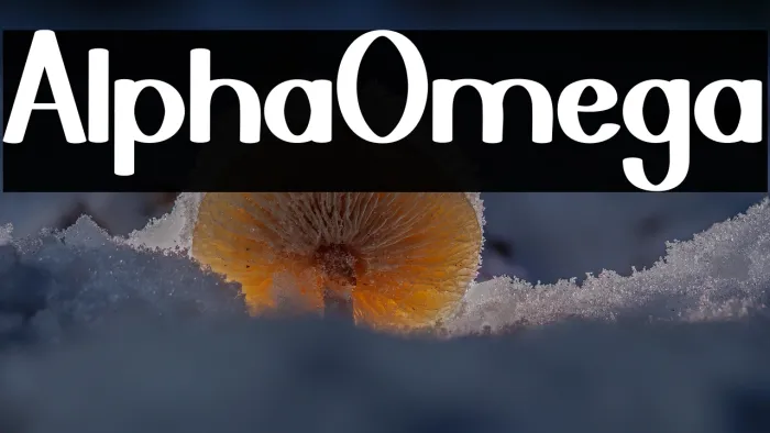 Alpha Omega Example 2