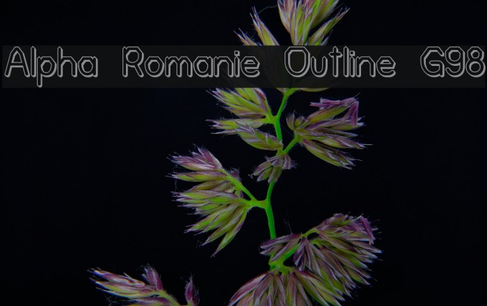 Alpha Romanie Outline G98 Font examples