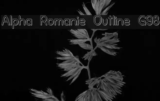 Alpha Romanie Outline G98 Polices examples