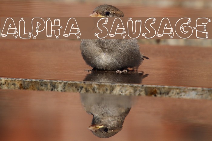 Alpha Sausage Font examples