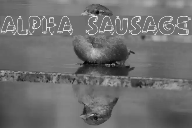 Alpha Sausage Fonte examples