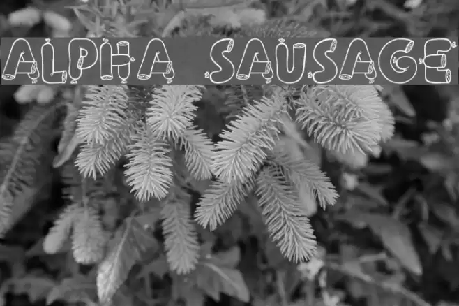 Alpha Sausage Fonte examples