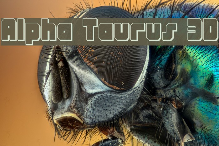 Alpha Taurus 3D Font examples