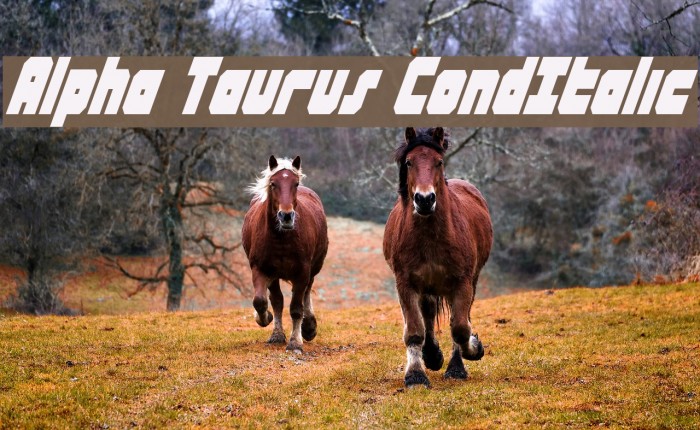 Alpha Taurus CondItalic Font examples