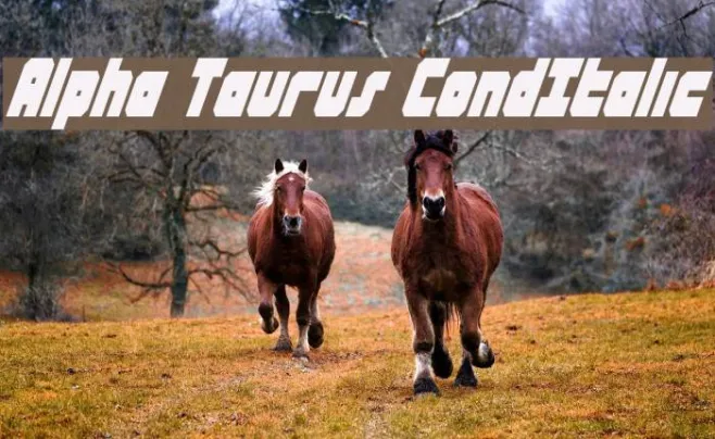 Alpha Taurus CondItalic Example 1