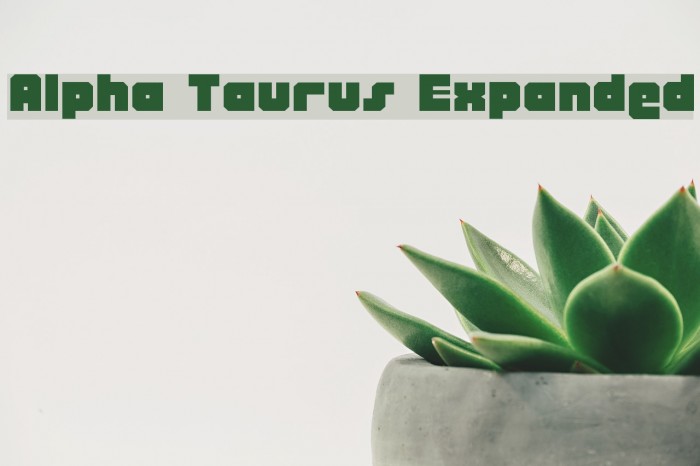 Alpha Taurus Expanded Font examples