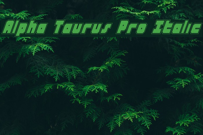 Alpha Taurus Pro Italic Font examples