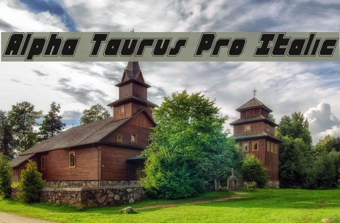 Alpha Taurus Pro Italic Font examples
