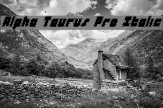 Alpha Taurus Pro Italic Font examples