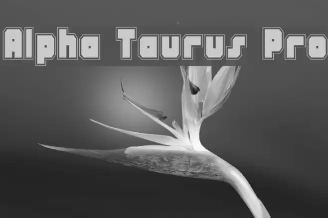 Alpha Taurus Pro Font examples