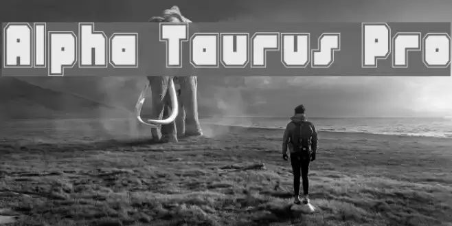 Alpha Taurus Pro Font examples