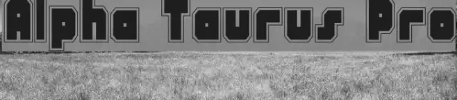 Alpha Taurus Pro Font examples