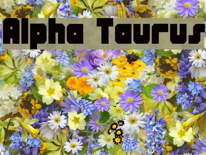 Alpha Taurus Font examples
