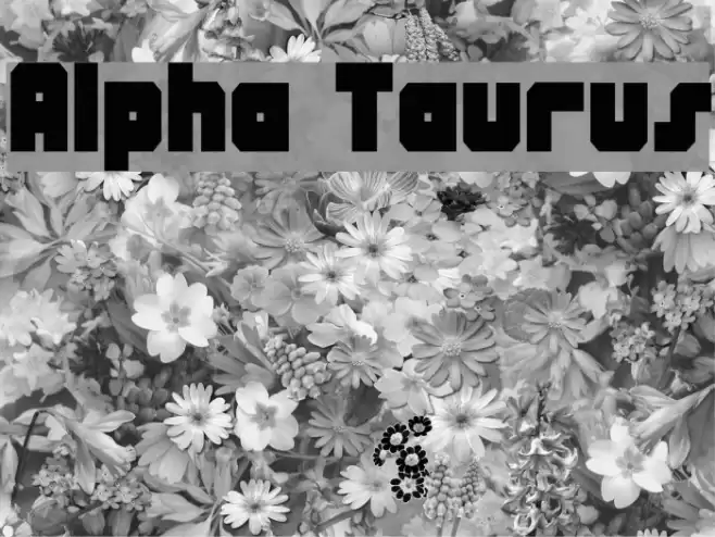 Alpha Taurus Font examples