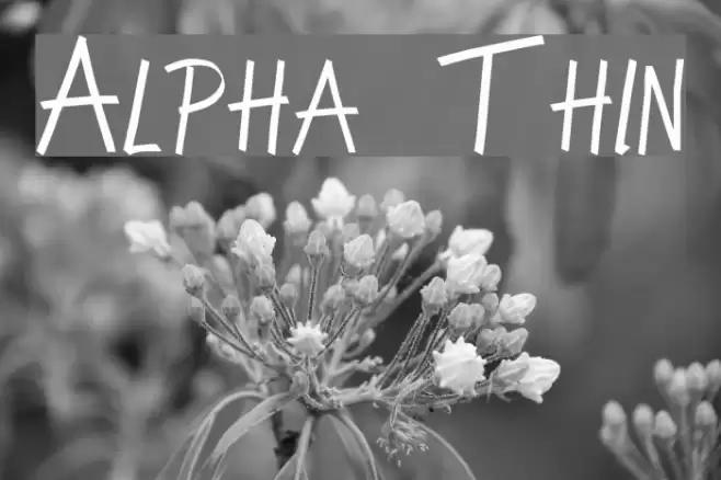 Alpha Thin フォント examples