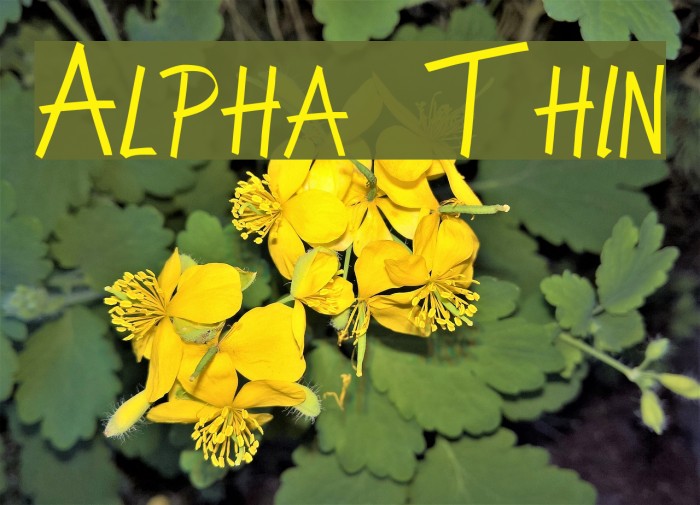 Alpha Thin Font examples