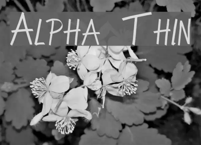 Alpha Thin フォント examples