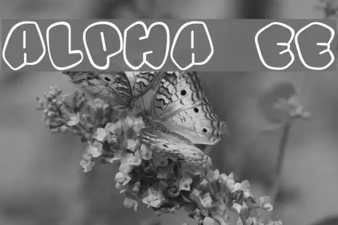 Alpha street Font examples