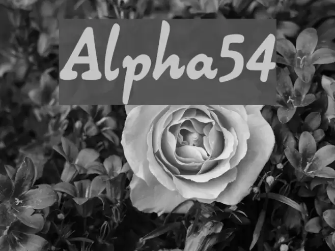 Alpha54 Font examples