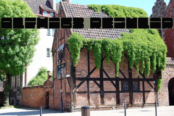 Alpha63 Regular Example 1