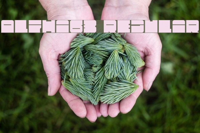 Alpha63 Regular Example 2