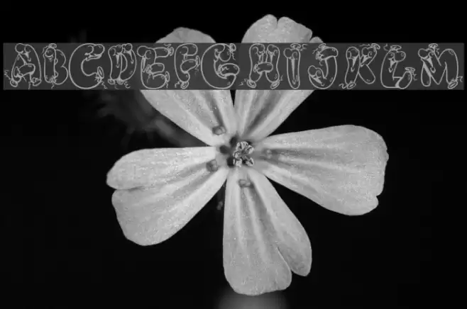 AlphaBalloons2 Font examples