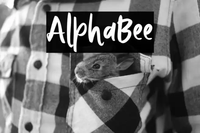 AlphaBee Font examples