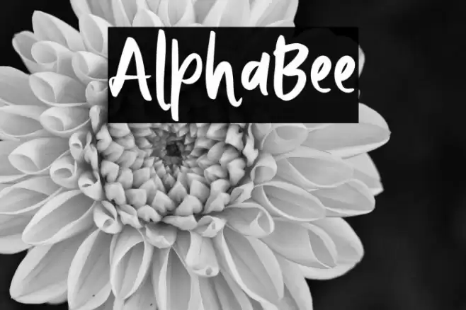 AlphaBee Font examples