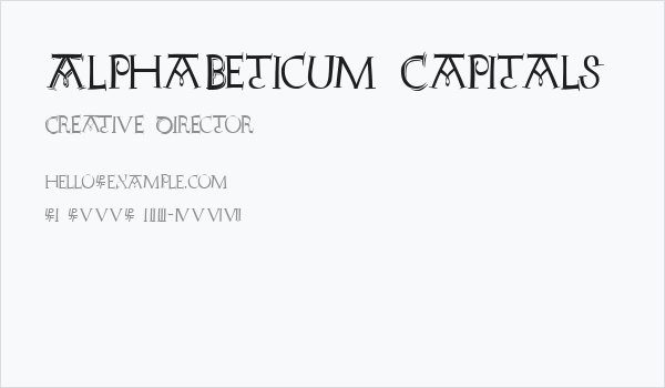 AlphaBeticum Capitals Business Card