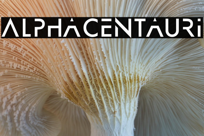 AlphaCentauri Example 2