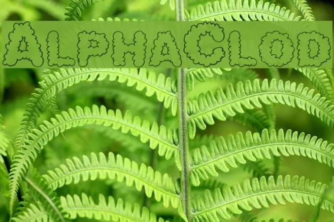 AlphaClouds Example 1