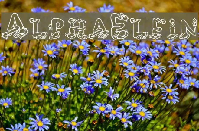 AlphaElfin Example 2