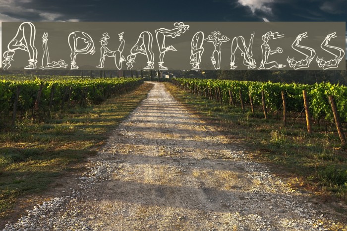 AlphaFitness Font examples