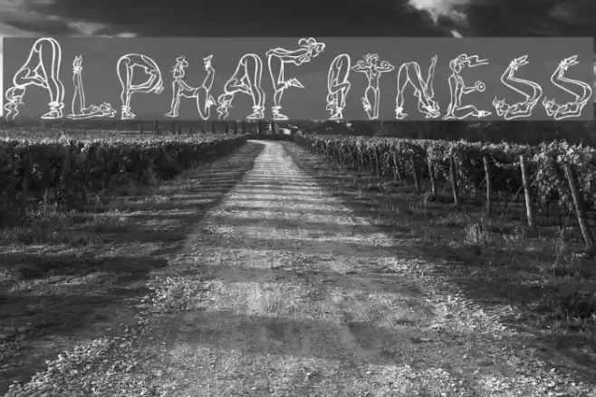 AlphaFitness Schriftart examples