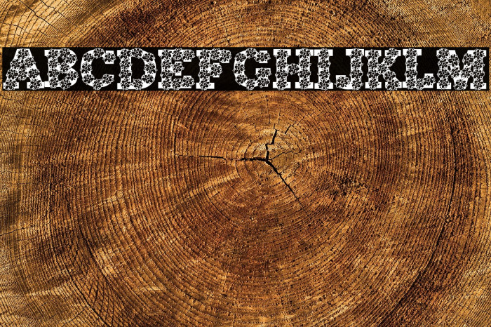 AlphaFlowers Example 1