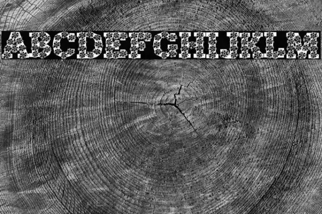 AlphaFlowers Font examples