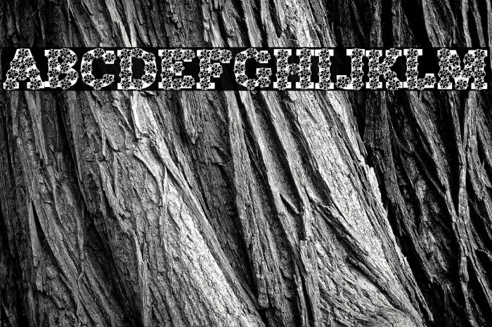 AlphaFlowers Example 2