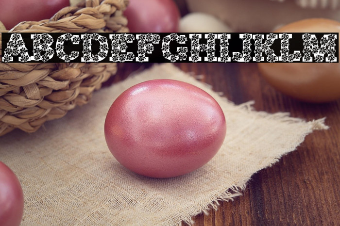 AlphaFlowers Example 3