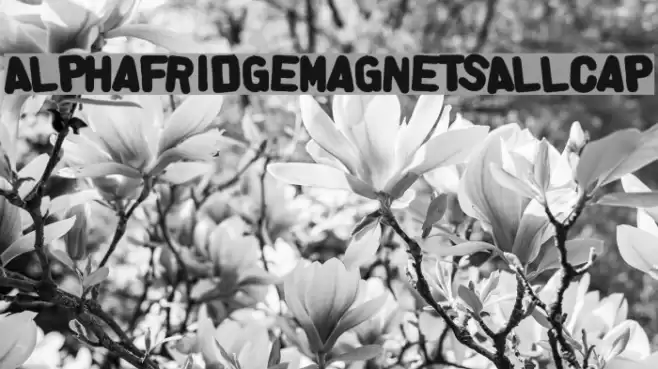 AlphaFridgeMagnetsAllCap Polices examples