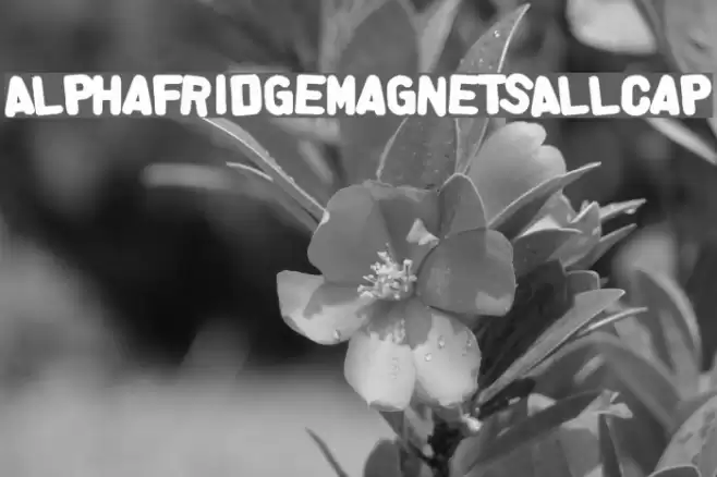 AlphaFridgeMagnetsAllCap Polices examples