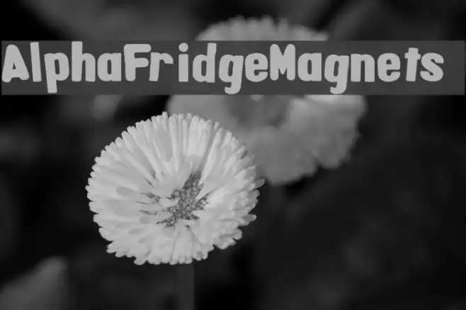 AlphaFridgeMagnets  Font examples