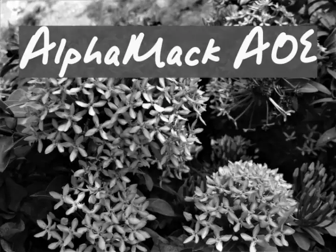 AlphaMack AOE फ़ॉन्ट examples