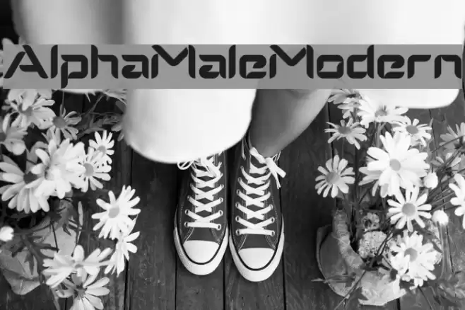 AlphaMaleModern Font examples